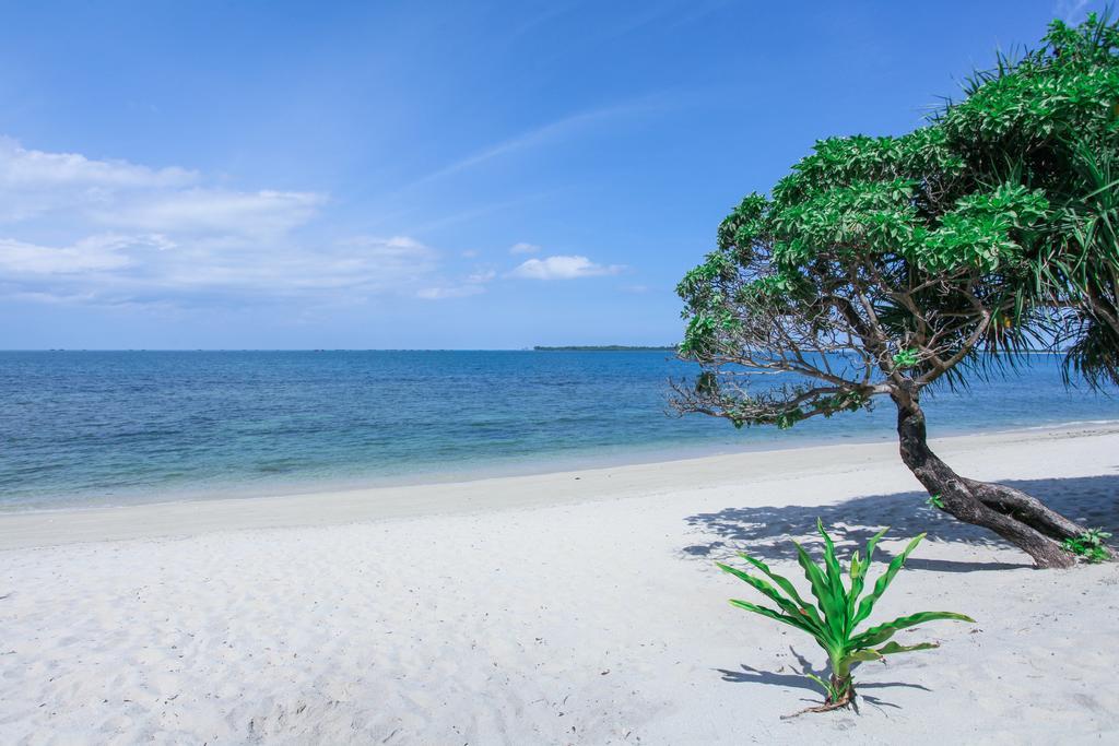 Trikora Beach Club And Resort Teluk Bakau Екстериор снимка